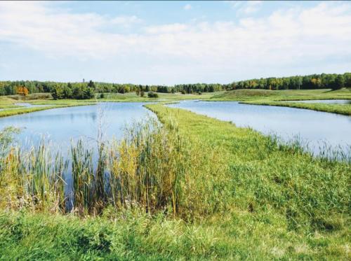 07:12:40 GMT-0600 (CST)