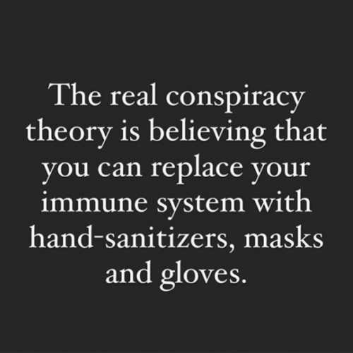 126826943_10158702095028490_8124320753099767366_n