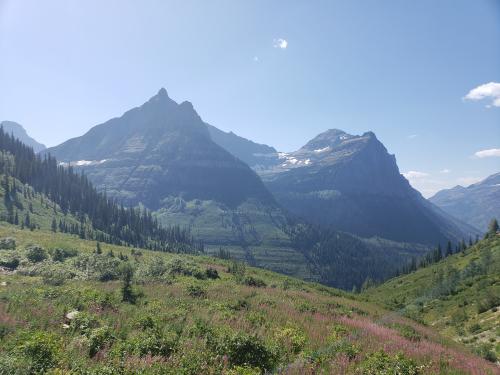 19:58:17 GMT-0800 (PST)