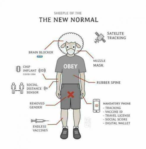 22:08:39 GMT-0500 (EST).image