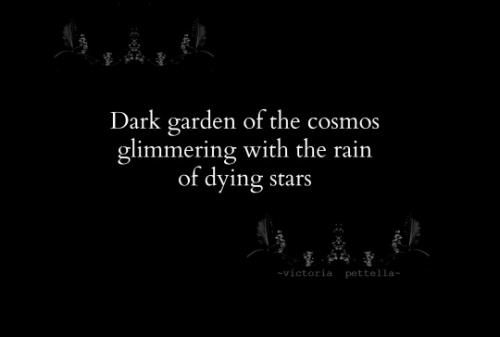 tumblr_6fd445778d85cab82eae6a199cbe8628_a38fc2a6_540