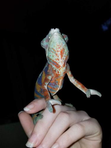 06:02:07 GMT-0500 (EST)