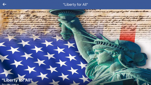 Liberty for All Logo