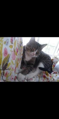 78040786_10157770341941550_2311150798517567488_o