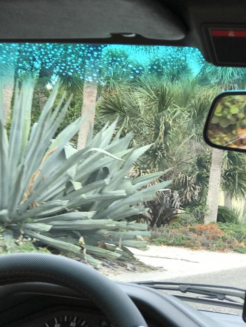 15:21:10 GMT-0600 (CST).image