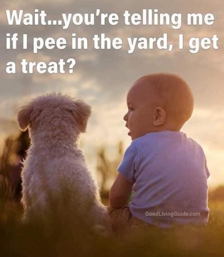 20:51:23 GMT-0800 (PST).image