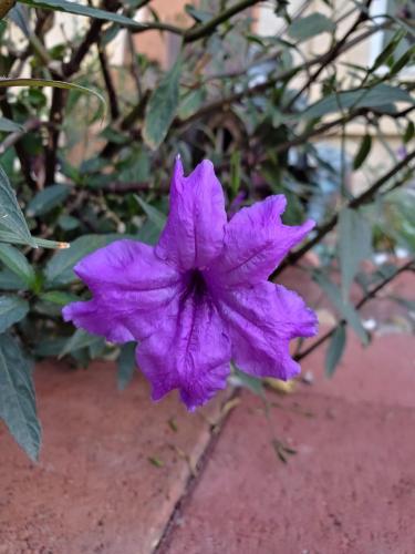 15:18:05 GMT-0800 (PST)