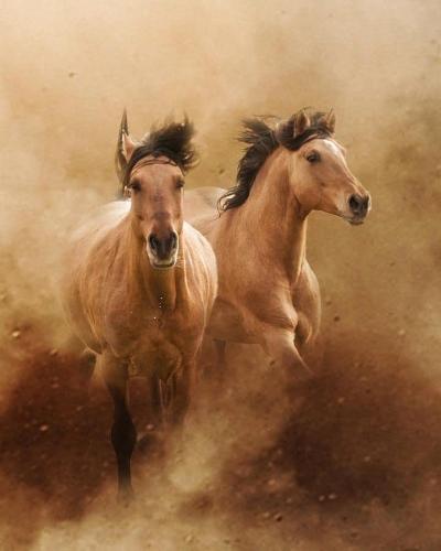 125426432_365640591181885_5565313260984920638_n