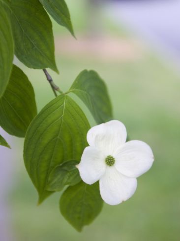 08:06:35 GMT-0500 (EST).image