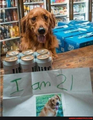 22:31:28 GMT-0600 (CST).image