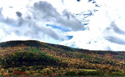 16:01:55 GMT-0500 (EST).image