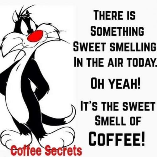 07:28:32 GMT-0600 (CST)