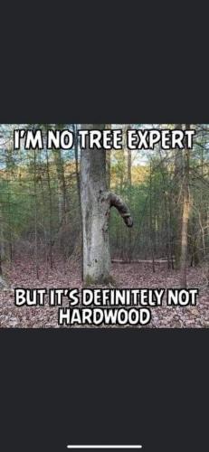 20:01:01 GMT-0500 (EST)