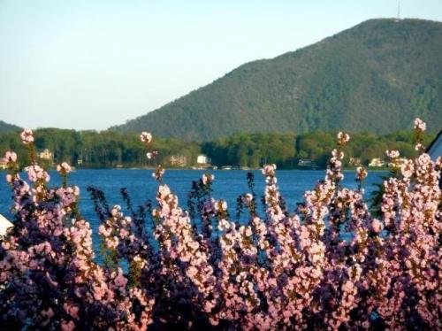 08:31:59 GMT-0500 (EST).image