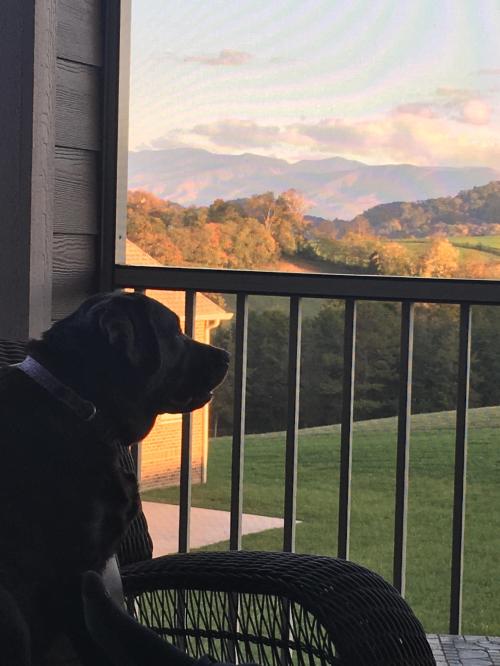 10:54:31 GMT-0500 (EST).image