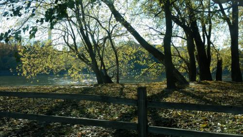 IMG_20201103_144931912