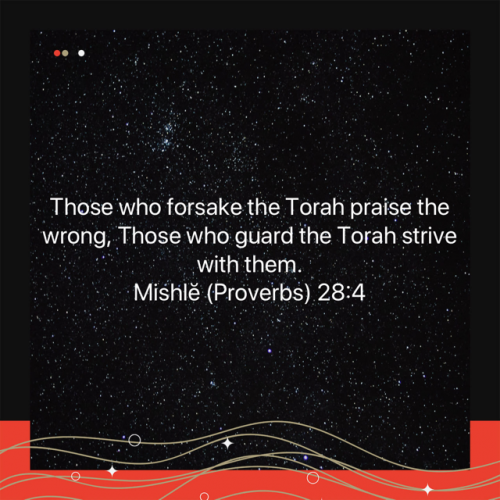 2E8B9C07-7DA9-408A-A711-12297046DA1E