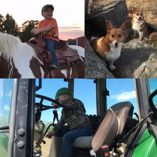 16:08:19 GMT-0600 (CST).image