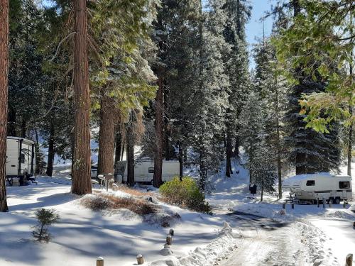 05:31:29 GMT-0800 (PST)