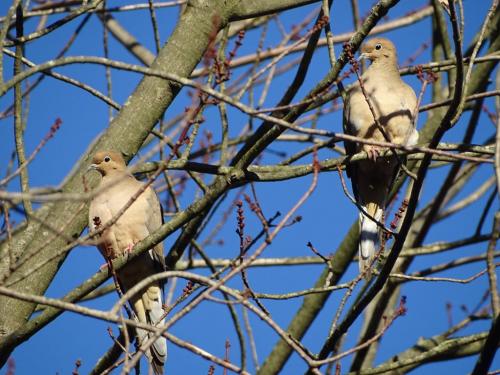 18:00:40 GMT-0500 (EST).image