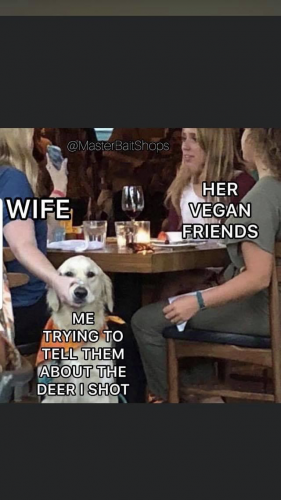 07:41:22 GMT-0600 (CST).image