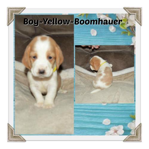 85249420_787600785079502_1484664825794527232_o