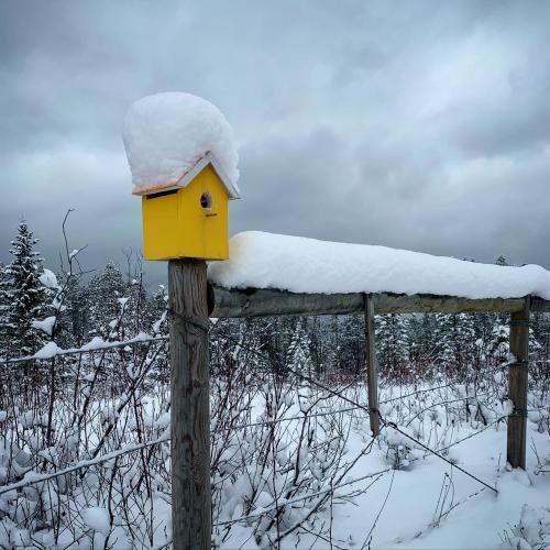 00:28:25 GMT-0700 (MST).image