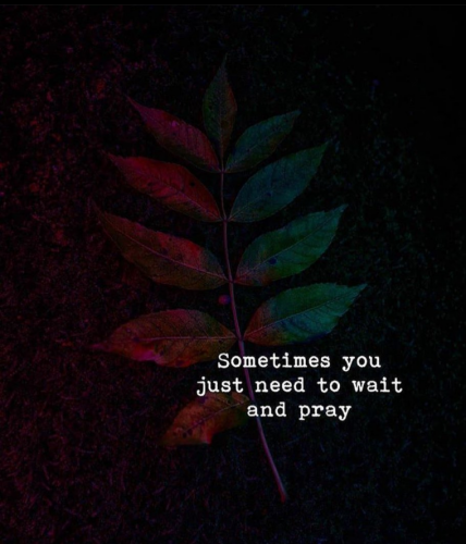 14:07:58 GMT-0500 (EST)