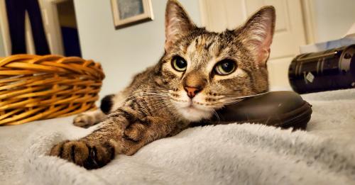 22:10:00 GMT-0500 (EST)