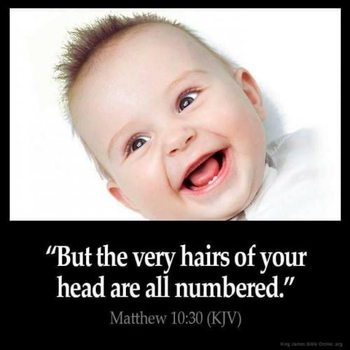 67BC560C-0354-4FE4-8BB7-09CB04430A86