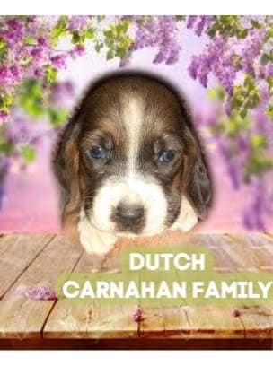 92812266-1601734119981163-6915597099811733504-n