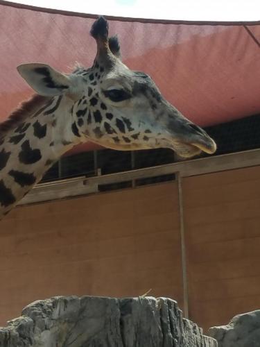 15:33:45 GMT-0800 (PST)