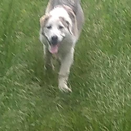 IMG_20200112_164809_575