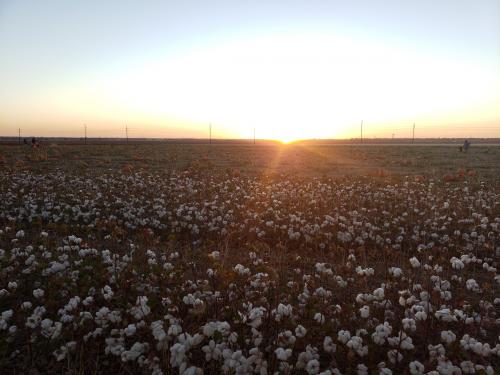 13:37:46 GMT-0600 (CST)