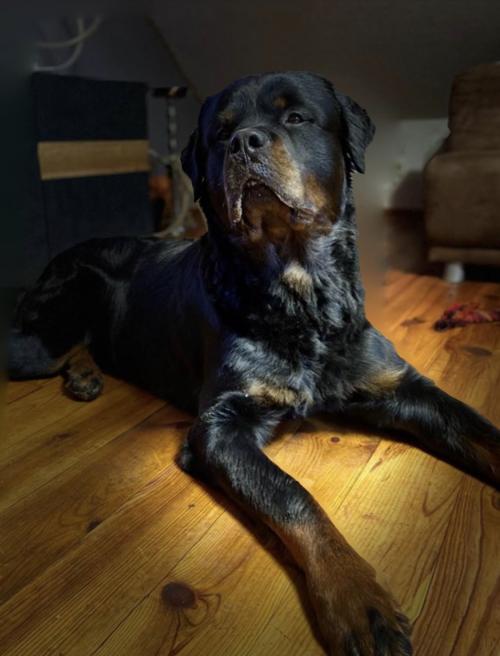 10:02:26 GMT-0500 (EST).image