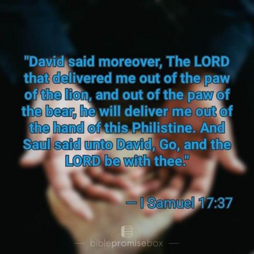 F5C5616D-7083-4472-8292-3554C9FC8BF0