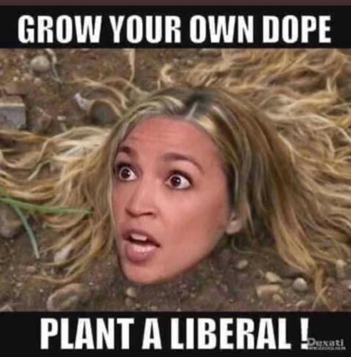 01:17:34 GMT-0800 (PST).image