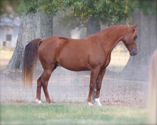 14681045_10207575741257538_4448815618823480704_o