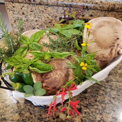 22:49:22 GMT-0600 (CST)