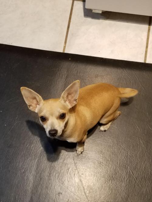 inbound7577437334029657537