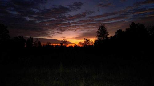 10:36:39 GMT-0600 (CST)