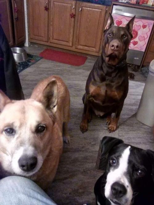 04:55:05 GMT-0500 (EST)