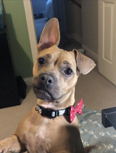 17:32:09 GMT-0500 (EST).image