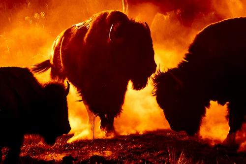 121620861_1790481461109771_417796985007755201_o