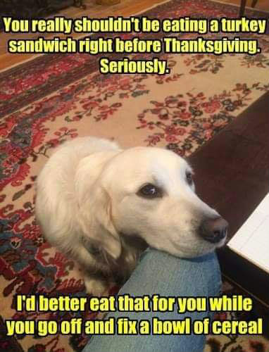 10:19:54 GMT-0600 (CST)