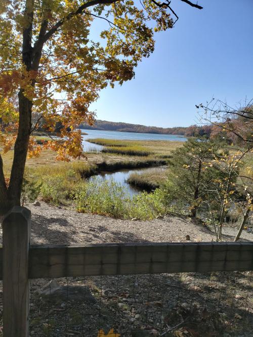 10:35:30 GMT-0500 (EST)