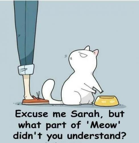 10:37:37 GMT-0500 (EST)