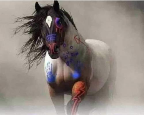 123394150_3740962222630391_4353609304710752199_n