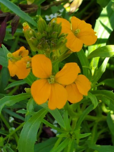 15:47:39 GMT-0800 (PST)