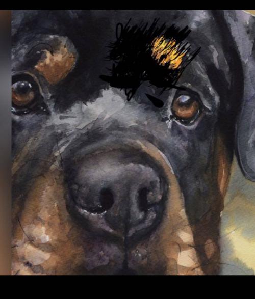 10:03:52 GMT-0500 (EST).image